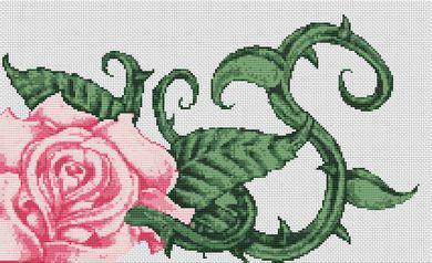 (image for) Pink Rose